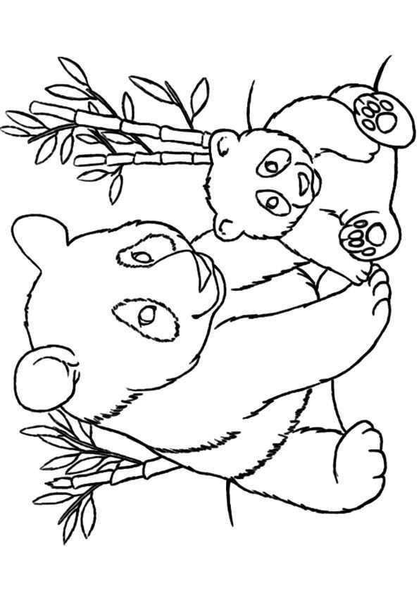 Print Coloring Image Momjunction A Community For Moms Panda Coloring Pages Bear Color