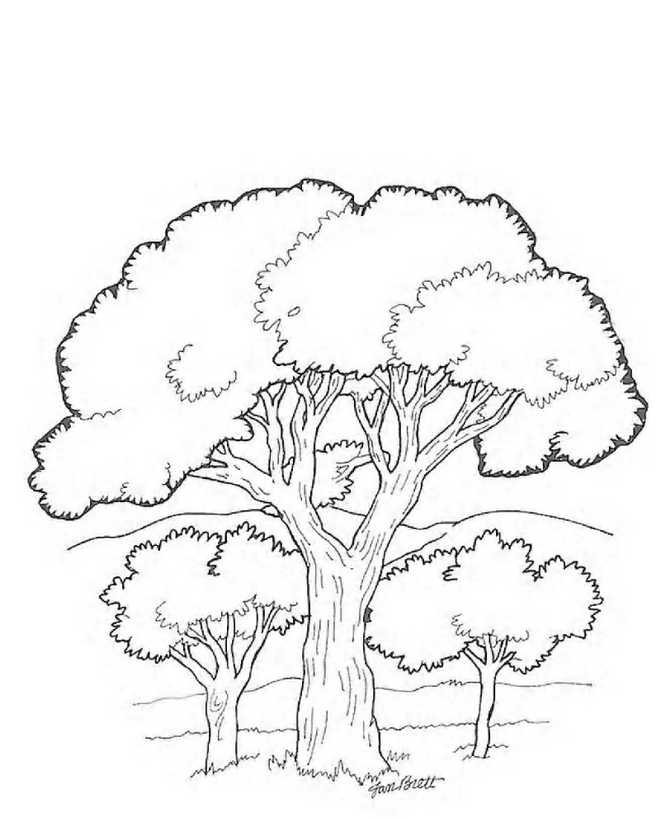 Kids N Fun Coloring Page Trees And Leaves Trees And Leaves Bomen Tekenen Boek Bladzij