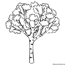 Afbeeldingsresultaat Voor Cartoon Getekende Bomen En Struiken Dieren Kleurplaten Boom