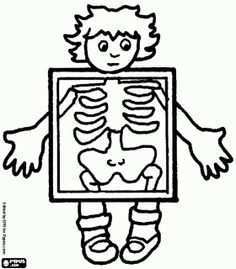 Zvieratk Z Geometrick Ch Tvarov H Ada Googlom Xray Art Alphabet Coloring Pages Colori