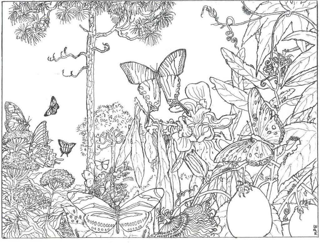 Kleurplaten Bovenbouw Lente Butterfly Coloring Page Detailed Coloring Pages Animal Co