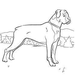 Online Coloring Pages Of Your Favorite Dog Breed Honden Kleurplaten Knutselen