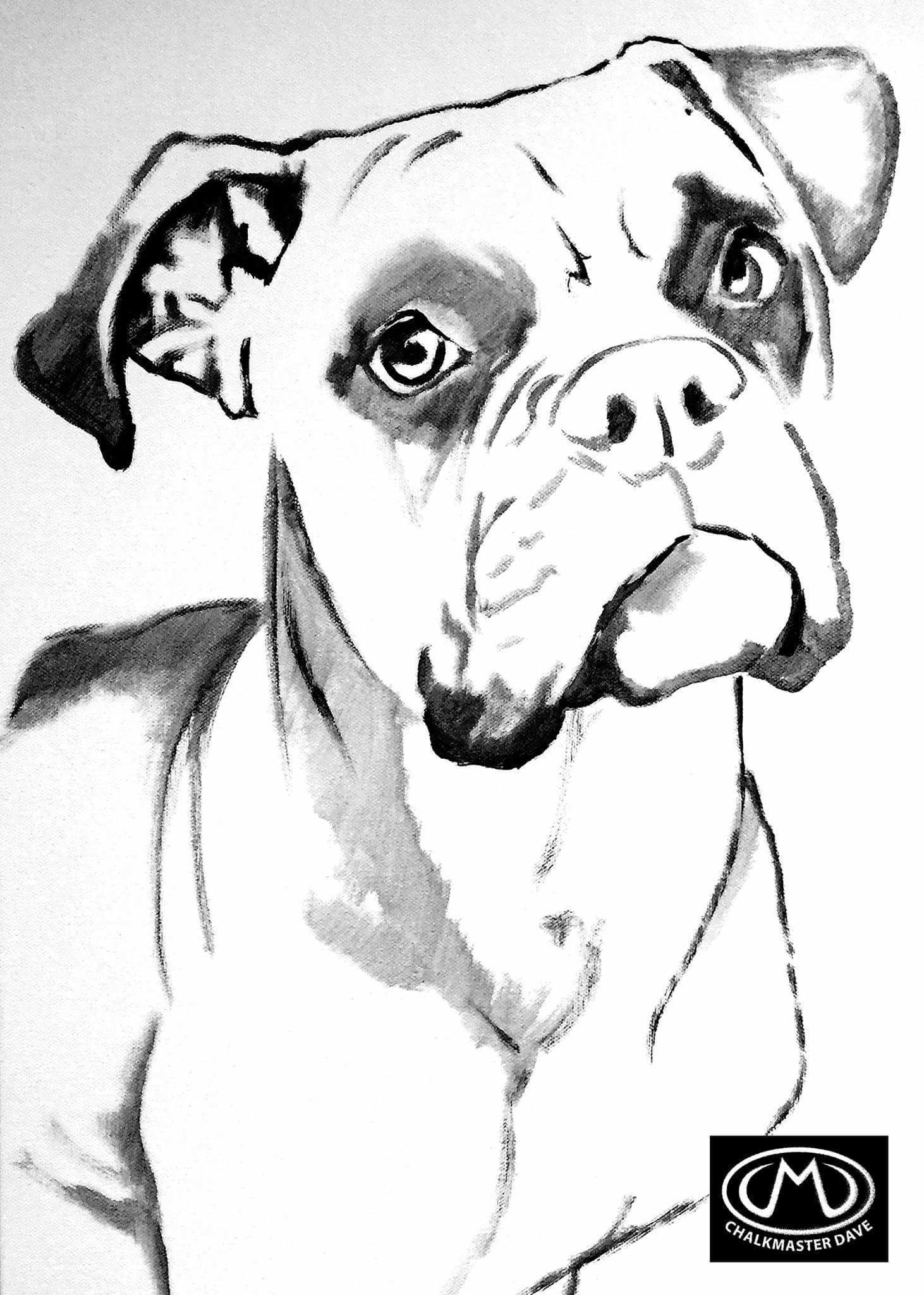 Boxer Colouring Page Boxer Dogs Art Boxer Painting Dog Drawing