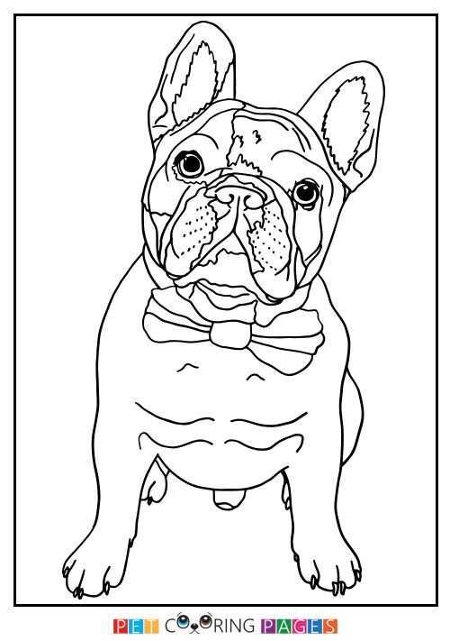 French Bulldog Coloring Page French Bulldog Bulldog Coloring Pages