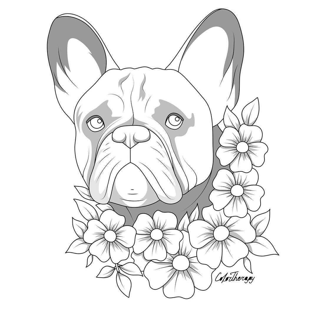 Aucune Description De Photo Disponible Dog Coloring Page Horse Coloring Pages Animal