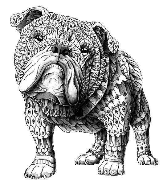 Home Page Current Artwork English Bulldog Art Bulldog Art Bulldog Art Print