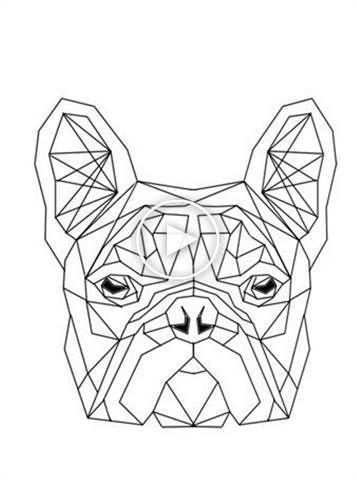 Pin Van Noemi Modrowska Op Animales Geometrische Tekening Geometrische Kunst Lijnteke