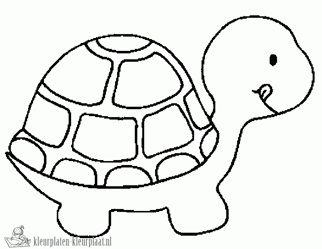 Kleurplaten Schildpad Kleurplaten Kleurplaat Nl Cartoon Schildpad Dieren Kleurplaten