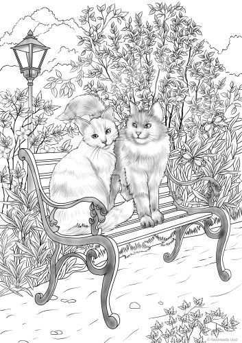 Romantic Cats Kleurplaten Kleurboek Kleuren