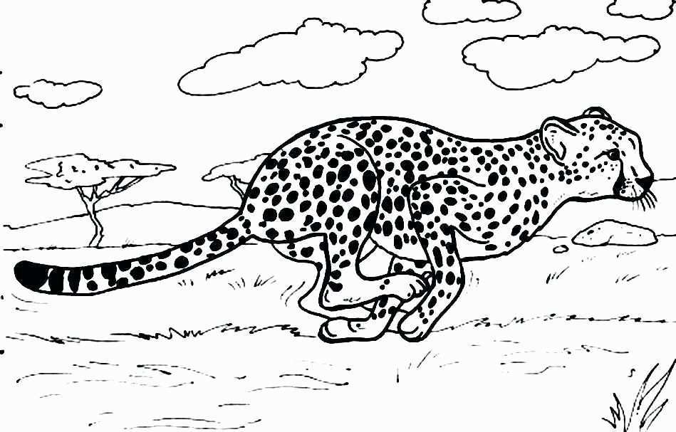 Animal Coloring Pages Cheetah Kleurplaten