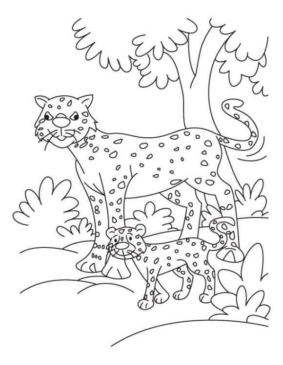 Coloring Pages Of A Cheetah On Tree