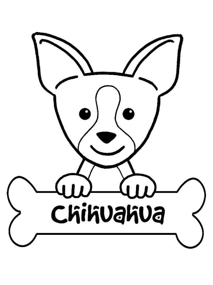 Free Printable Chihuahua Coloring Pages Chihuahuas Are Small Dogs Aka Tiny Toy Sizes