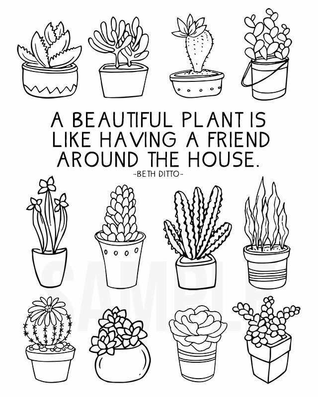 Fun Coloring Sheet Full Of Succulents For Plant Lovers Livelaughrowe Com Plant Doodle