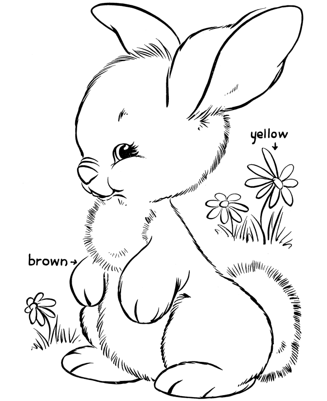 Easter Bunny Color Pages Bunny Coloring Pages Easter Bunny Colouring Easter Coloring