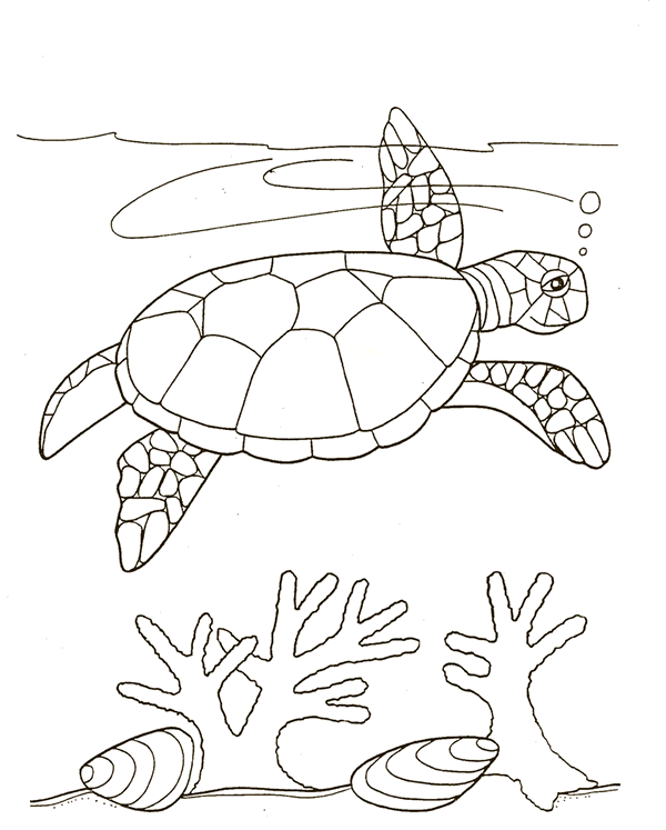 Kleurplaat Turtle Coloring Pages Coloring Pages Sea Turtle Art