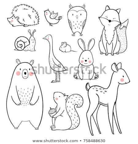 The Linear Vector Children S Illustration Set Of Cute Forest Animals Dieren Kleurplat