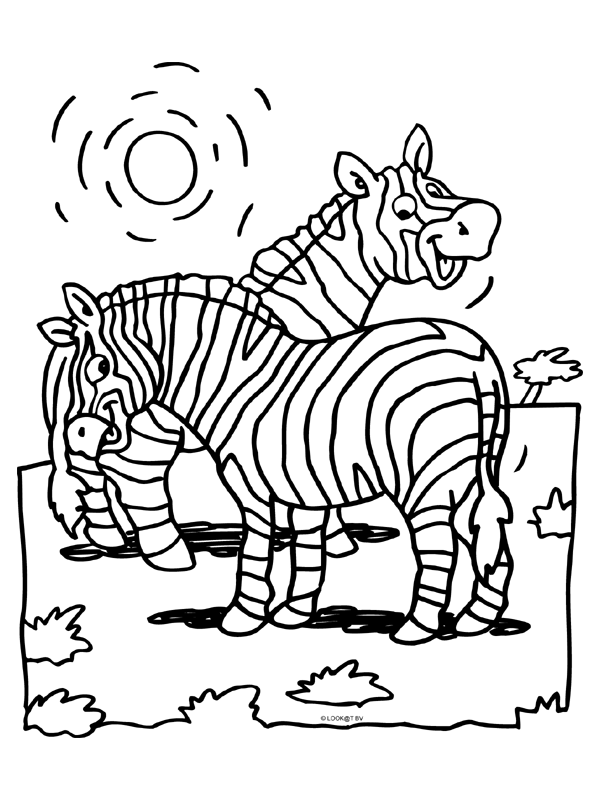 Pin Van Karen Op Thema Zebra S Kleuters Zebra Theme Preschool Zebre Theme Maternelle
