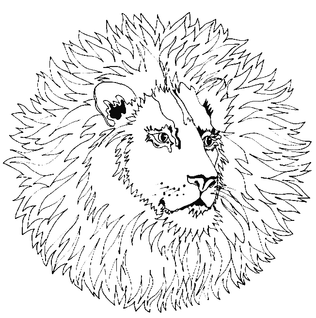 Mandala Coloring Pages Animal Coloring Pages Owl Coloring Pages Mandala Coloring Book