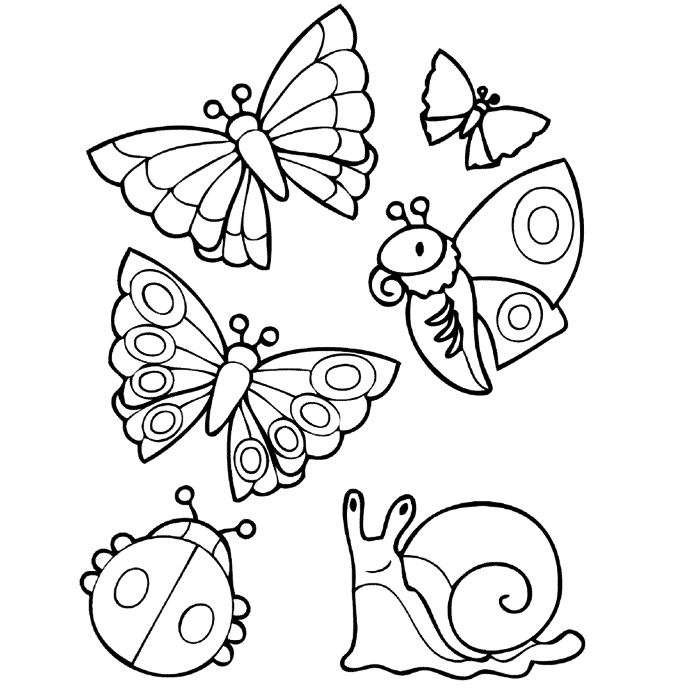Leuk Voor Kids Kleurplaat Diertjes Slak Vlinders En Een Lieveheersbeestje Zomer Kleur