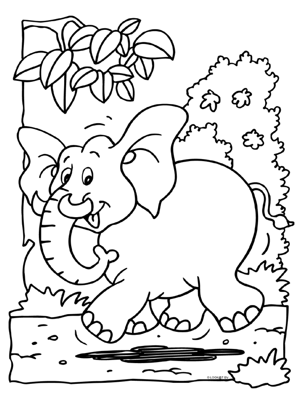 Kleurplaat Dieren Kleurplaten Kleurplaten Olifant Tekening