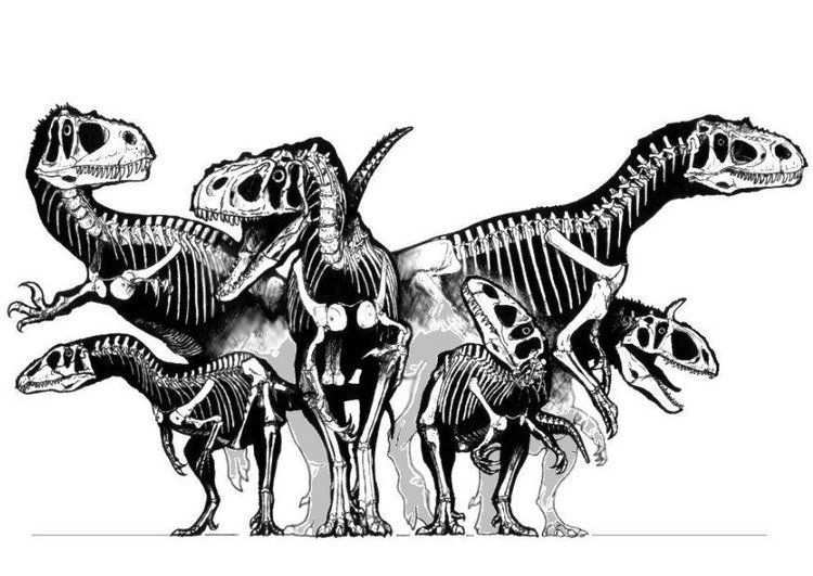 Kleurplaat Groep Dinosaurussen Skeletten Dinosaurus Skelet Prehistorie