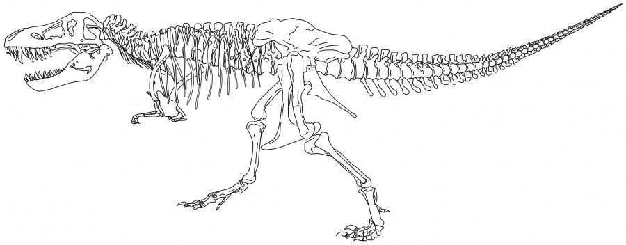 Kleurplaten Dino Skeletten