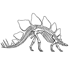 Resultat De Recherche D Images Pour Dino Skelet Kleurplaat Skelet Dinosaurus Dinosaurussen