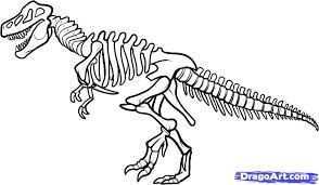 Afbeeldingsresultaat Voor Skelet Dino Dinosaurus Kleurboek Dinosaurussen
