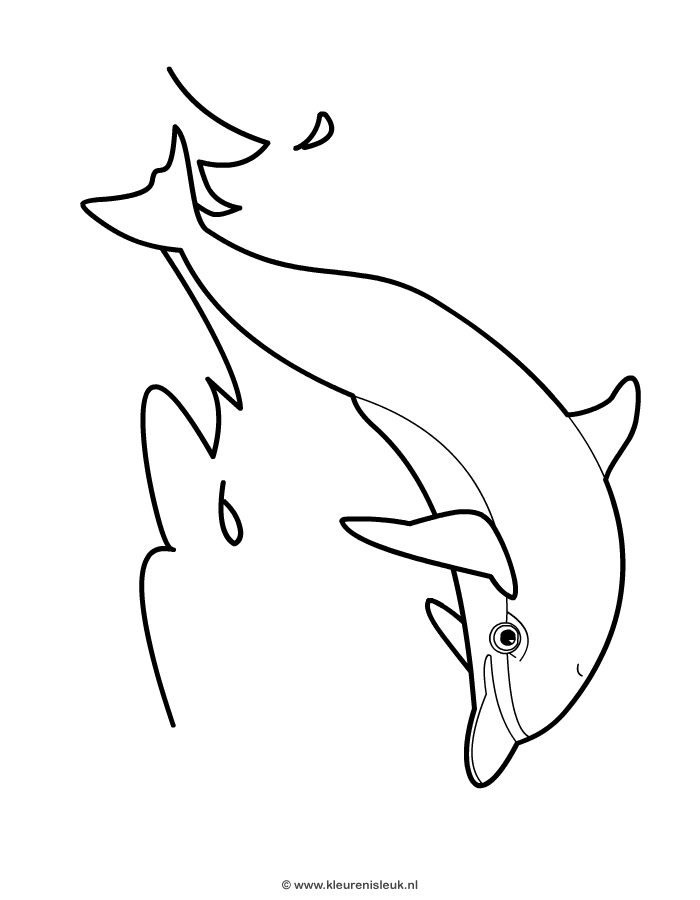 Dolfijn Dolphin Dolfijnen Quilten Glas In Lood Engel Tekening