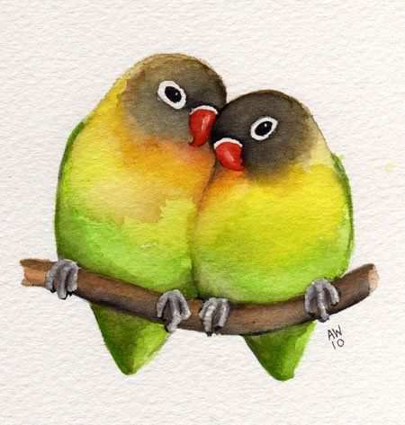 Watercolor Lovebirds Bird Drawings Watercolor Bird Bird Art