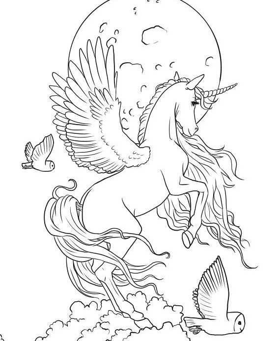 Pin By Etienne Huygens On Coloring Horses Unicorn Coloring Pages Horse Coloring Pages