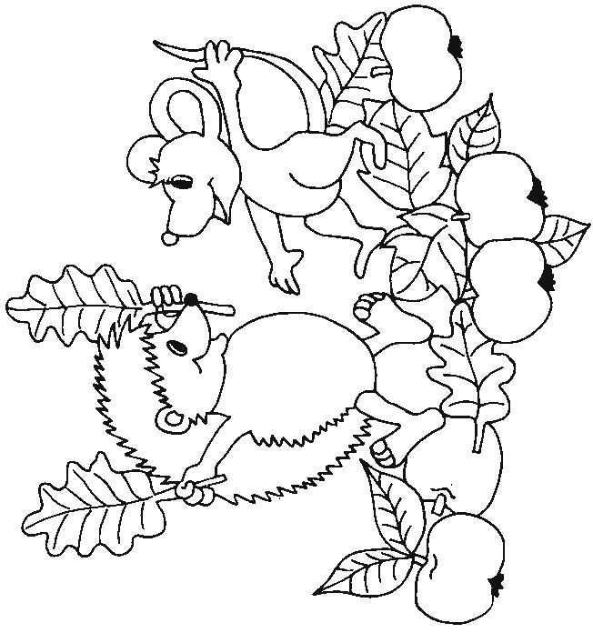 32 Coloring Pages Of Hedgehogs On Kids N Fun Co Uk On Kids N Fun You Will Always Find