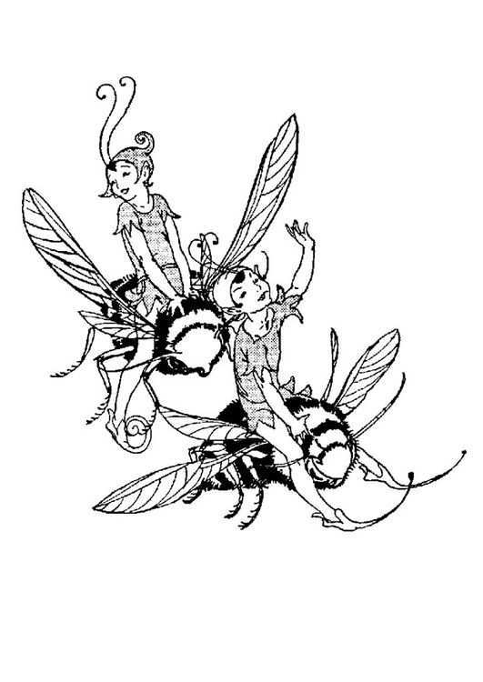 Coloring Page Elves Img 9059 Coloring Pages Fairy Drawings Garden Coloring Pages