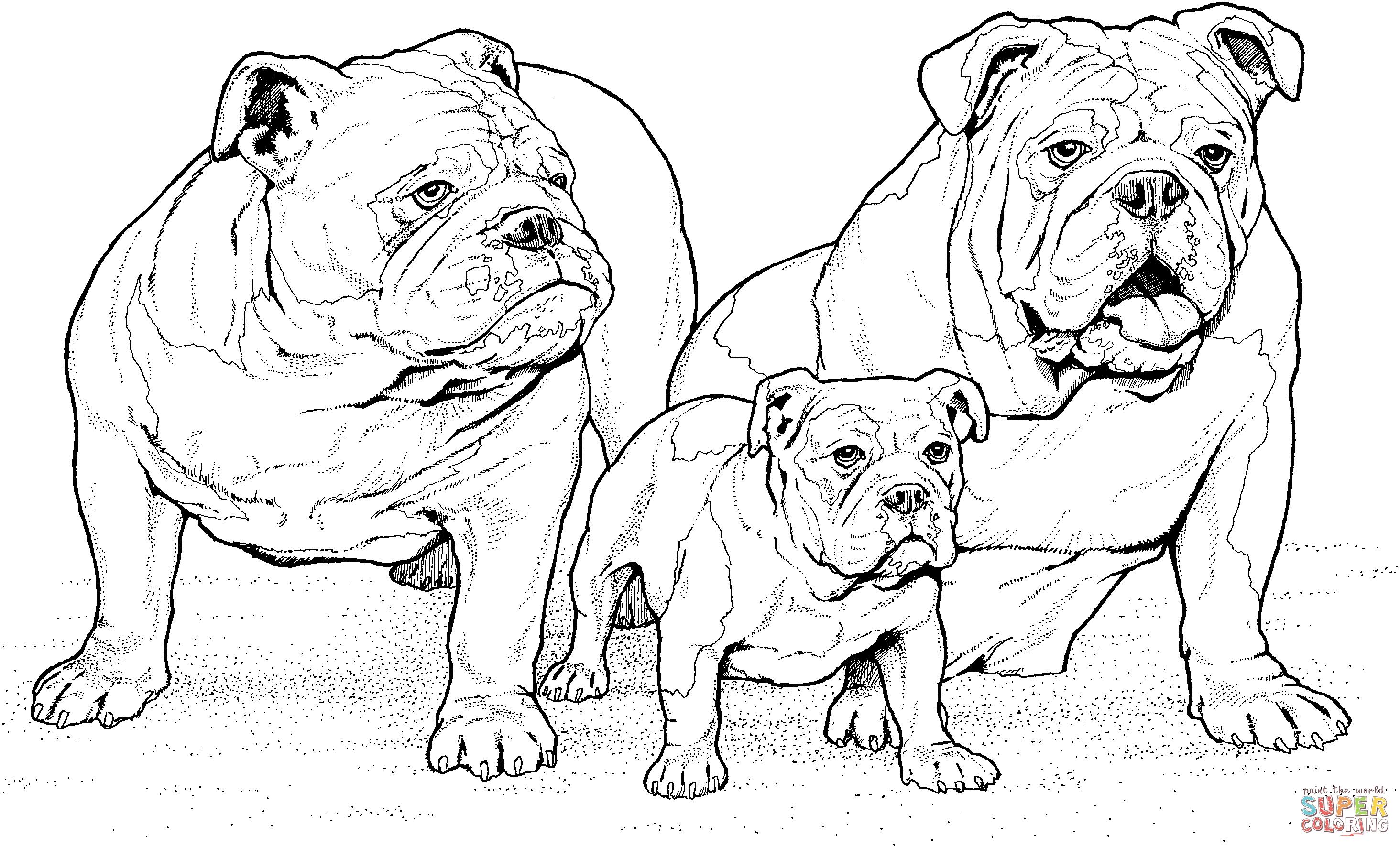 English Bulldogs With Puppy Coloring Page Gif 2928 1772 Dieren Kleurplaten Honden