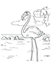 Kleurplaten Flamingo Topkleurplaat Nl Dessin Facile Animaux Dessins Faciles Dessin