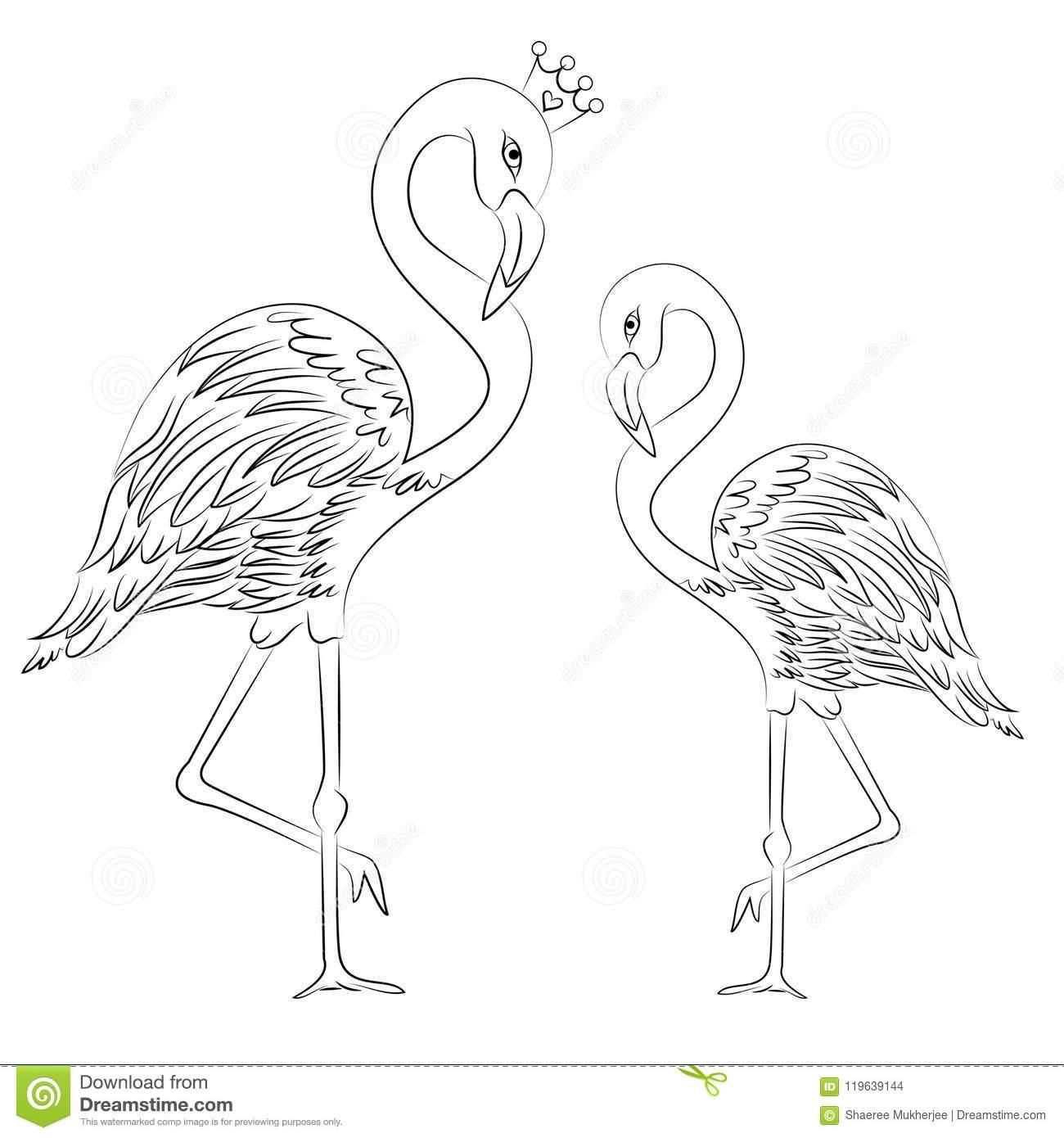 42 Coloring Page Flamingo Flamingo Coloring Page How To Draw Flamingo Coloring Pages