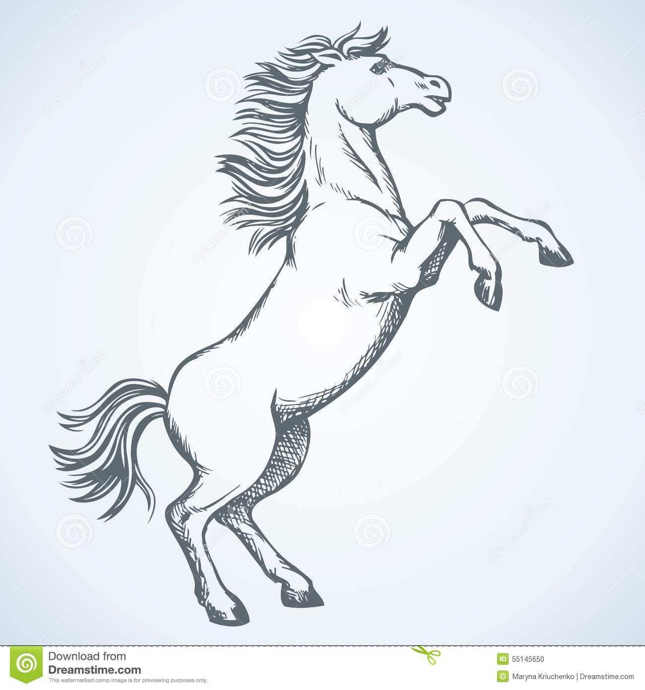 Galopperend Paard Tekening Google Zoeken Paard Tekeningen Dieren Tekenen Paarden
