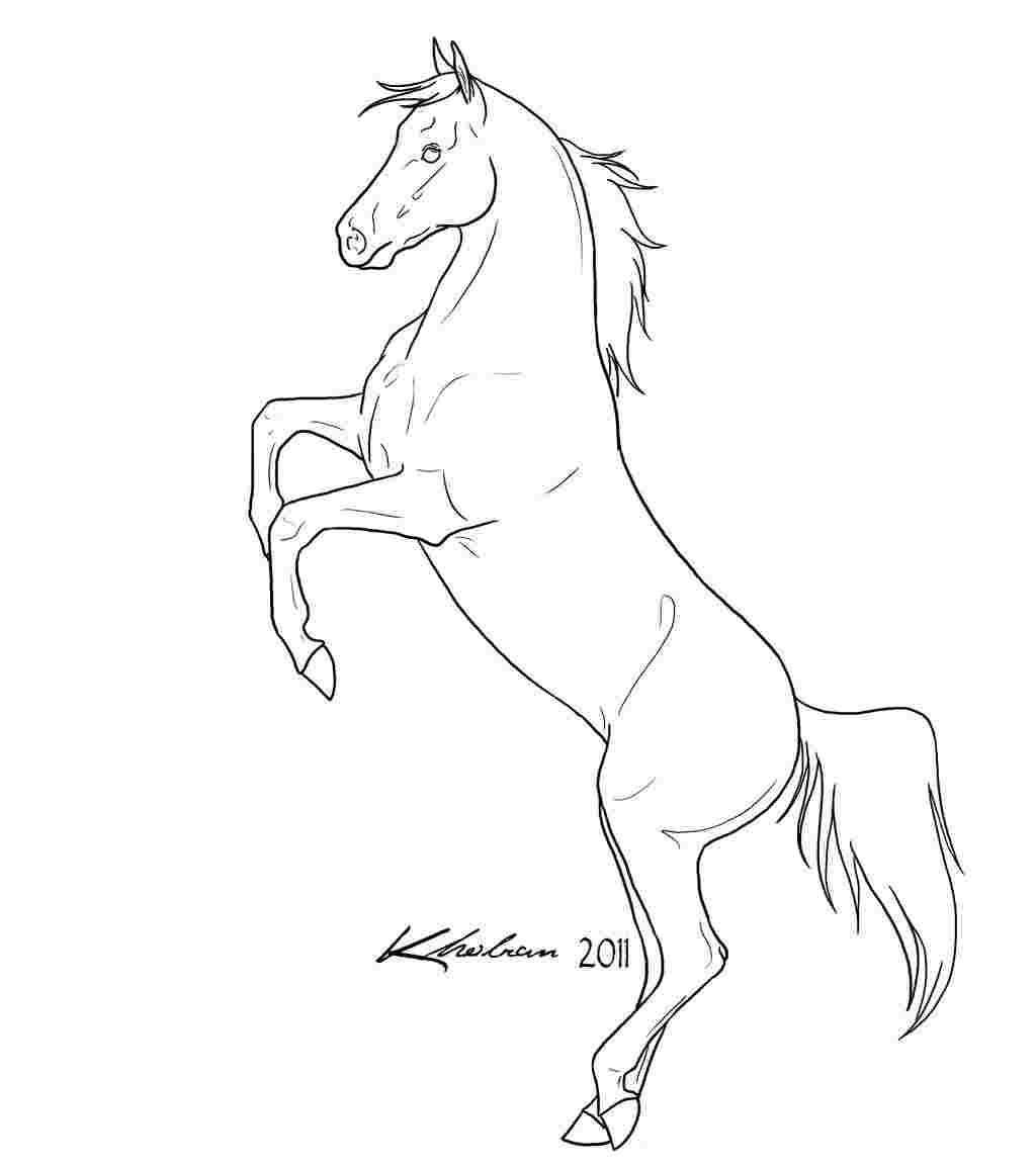 Rearing Horse Coloring Pages In 2020 Horse Coloring Pages Horse Coloring Horse Outline