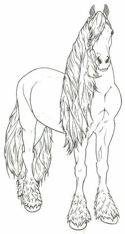Pin By Joke On Ausmalbilder Horse Coloring Pages Horse Coloring Animal Coloring Pages