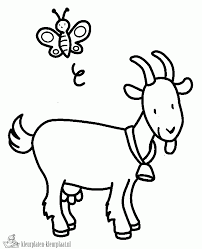 Afbeeldingsresultaat Voor Geit Farm Animal Coloring Pages Animal Coloring Pages Butte