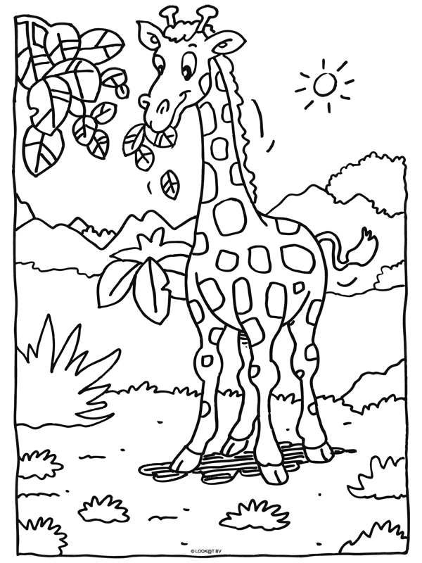 Kleurplaat Giraffe Dieren Kleurplaten Dierentuindieren Dierentuin
