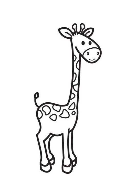 Kleurplaat Giraf Giraffe Tekening Giraffe Kunst Olifant Tekening