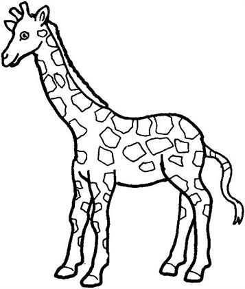 Leuke Kleurplaten Giraffe Op Kids N Fun Nl Dieren Kleurplaten Giraffe Tekening Giraff
