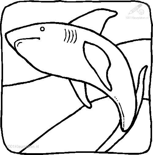 1001 Kleurplaten Dieren Haai Kleurplaat Haai Zeedieren Dieren Kleurplaten Haai