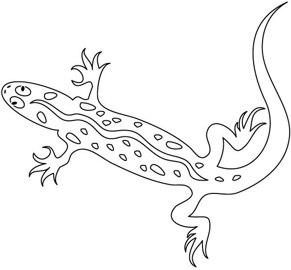 Pin By Pam Rodrigue On Okul Oncesi Boyama Sayfalari Animal Coloring Pages Coloring Pages Reptiles