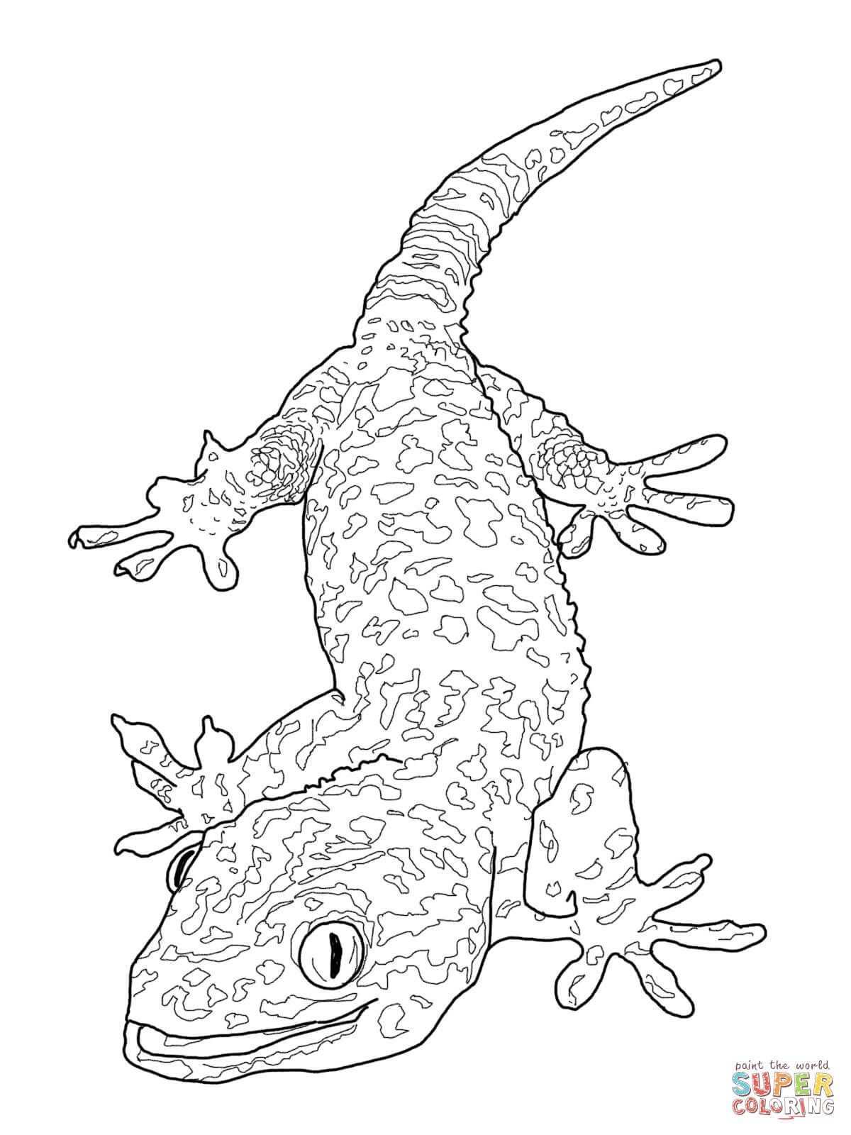 Tokay Gecko Coloring Page Jpg 1200 1600 Animal Coloring Pages Cool Coloring Pages Coloring Pages