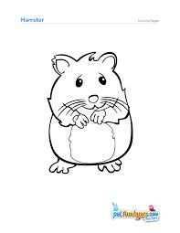 Dog And Hamster Outline Google Search Hamster Thema Huisdier