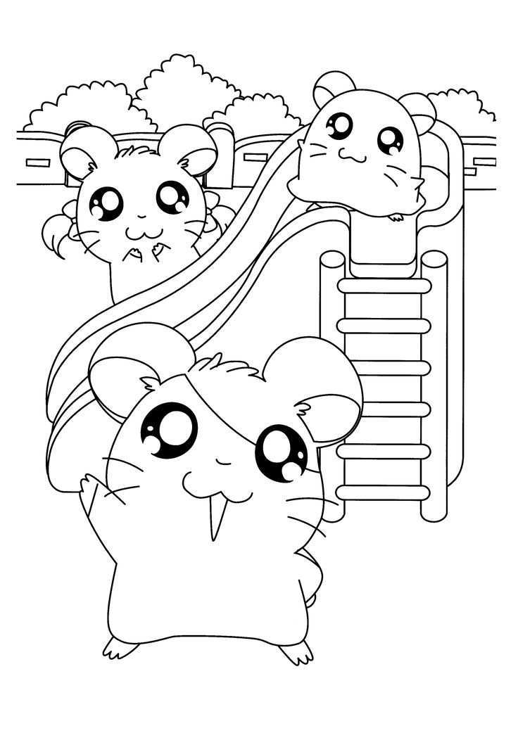 Hamtaro And Friends Play Slide Coloring Pages For Kids Fbl Printable Hamtaro Coloring Pages For Kids
