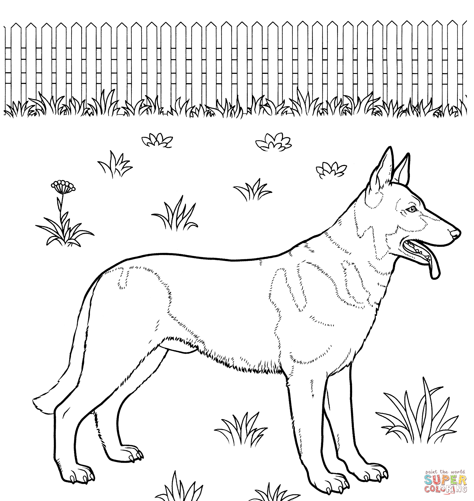 German Shepherd Duitse Herder Kleurplaten En Honden