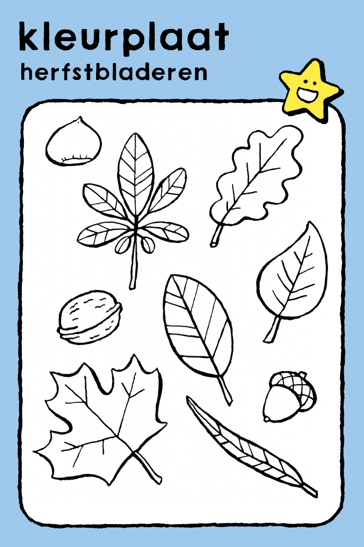 Herfstbladeren Kleurplaat Kleurprent Tekening Kinderen Natuur En Seizoenen Het Bos He